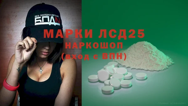 прущие грибы Армянск