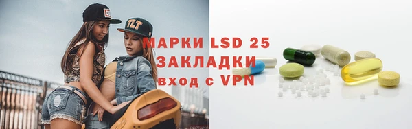 прущие грибы Армянск
