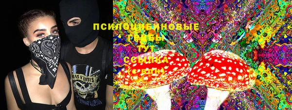 каннабис Аркадак