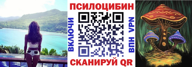 где продают   Кунгур  Галлюциногенные грибы Magic Shrooms 