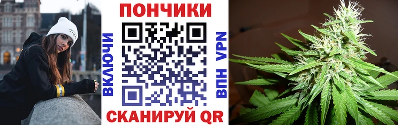 где можно купить наркотик  Кунгур  Конопля индика 